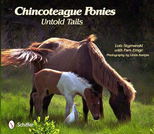 Beispielbild fr Chincoteague Ponies: Untold Tails zum Verkauf von Books From California
