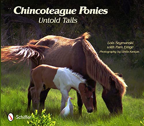 Stock image for Chincoteague Ponies: Untold Tails for sale by Books From California
