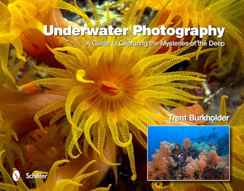 Beispielbild fr Underwater Photography: A Guide to Capturing the Mysteries of the Deep zum Verkauf von Hennessey + Ingalls