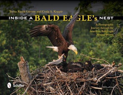 Stock image for Inside a Bald Eagle's Nest: A Photographic Journey Through the American Bald Eagle Nesting Season for sale by SecondSale