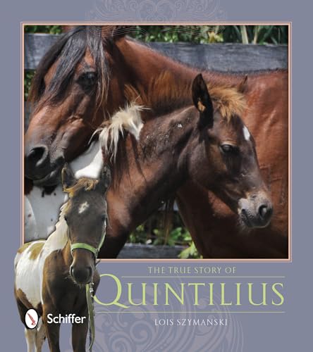 Stock image for The True Story of Quintilius for sale by Wonder Book