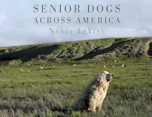 Beispielbild fr Senior Dogs Across America: Portraits of Man's Best Old Friend zum Verkauf von ZBK Books