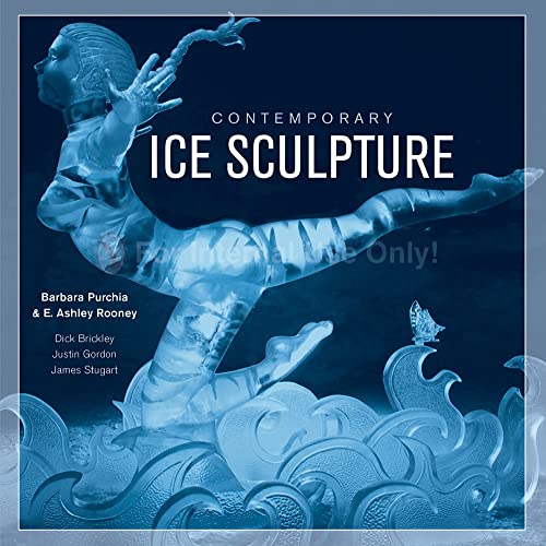 Beispielbild fr Contemporary Ice Sculpture zum Verkauf von Books From California