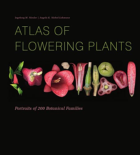 Imagen de archivo de Atlas of Flowering Plants: Visual Studies of 200 Deconstructed Botanical Families a la venta por Books From California