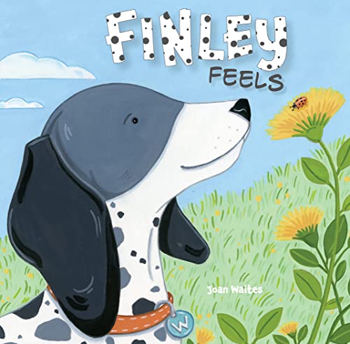 Stock image for Finley Feels for sale by Blackwell's