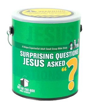 Group's Out-Of-The-Box Bible Studies: Surprising Questions Jesus Asked (9780764428722) by Bobby D'Ambrosio