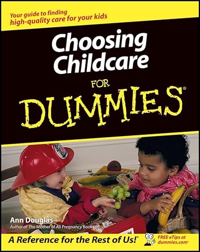 9780764537240: Choosing Childcare For Dummies