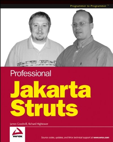 9780764544378: Professional Jakarta Struts
