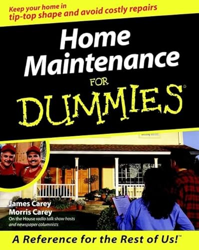 Beispielbild fr Home Maintenance for Dummies? zum Verkauf von Wonder Book