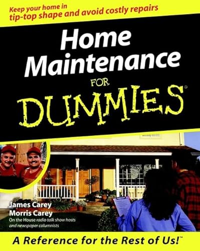 9780764552151: Home Maintenance for Dummies