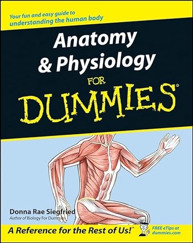 Stock image for Anatomy & Physiology For Dummies for sale by Wonder Book