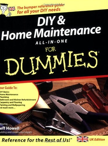 9780764570544: DIY and Home Maintenance All-in-One For Dummies