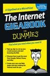 9780764574153: The Internet GigaBook For Dummies