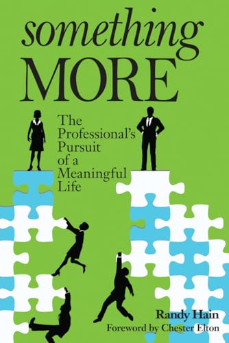 Imagen de archivo de Something More : The Professional's Pursuit of a Meaningful Life a la venta por Better World Books