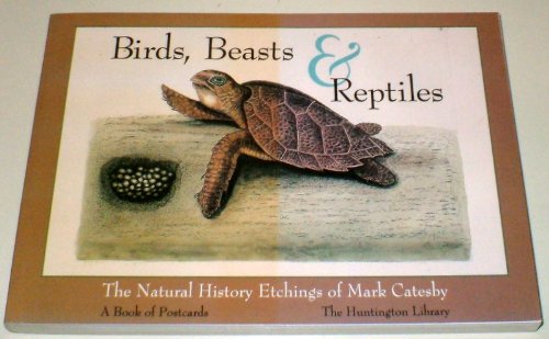 9780764903687: Birds, Beasts and Reptiles: The Natural History Etchings of Mark Catesby (Postcard Books)