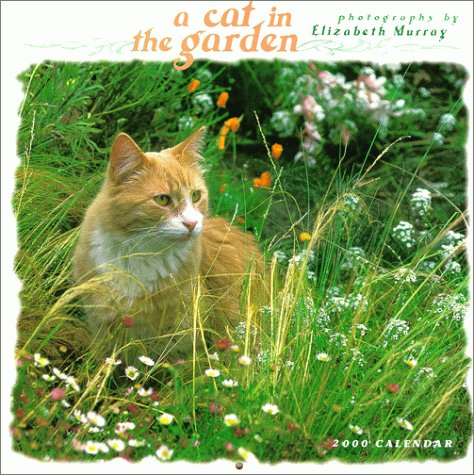 Imagen de archivo de Calendar 2000: A Cat in the Garden. a la venta por BOOKHOME SYDNEY