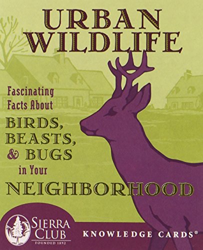 Urban Wildlife: Fascinating Facts About Birds, Beasts, & Bugs in Your Neighborhood Knowledge Cards Deck (9780764933738) by Pomegranate