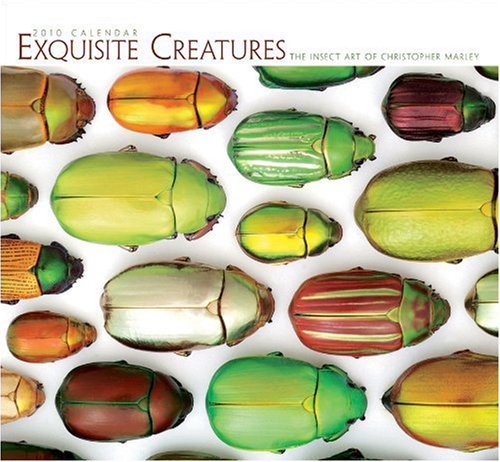 9780764947261: Exquisite Creatures 2010 Calendar