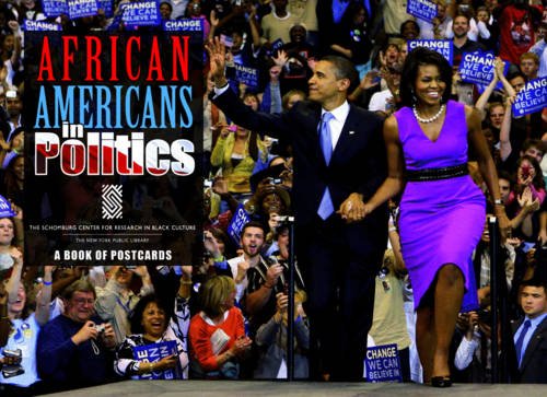 9780764948725: African Americans in Politics, Schomburg