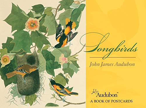 Beispielbild fr Songbirds John James Audubon Postcard Book zum Verkauf von AwesomeBooks