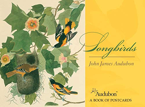 Stock image for Songbirds John James Audubon Postcard Book for sale by AwesomeBooks
