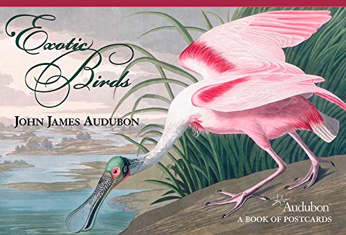 Imagen de archivo de John James Audubon: Exotic Birds Book of Postcards a la venta por HPB-Diamond