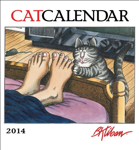 9780764963513: CatCalendar 2014 Calendar