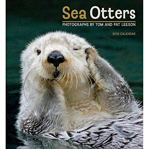 9780764966446: Sea Otters 2015 Calendar