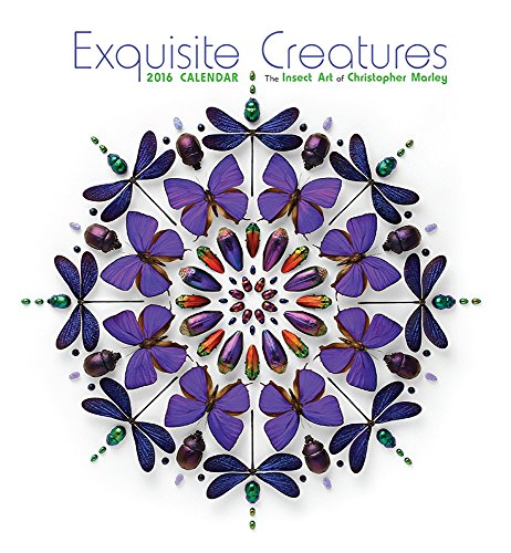 9780764970979: 2016 Marley/Exquisite Creatures Wall Calendar