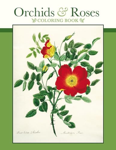 9780764971181: Orchids & Roses Colouring Book
