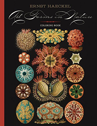 9780764974717: Ernst Haeckel Art Forms in Nature Coloring Book