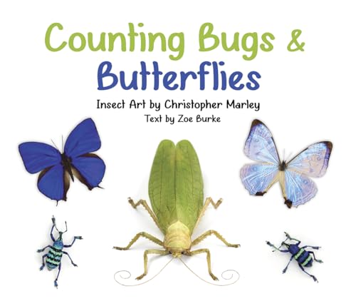 Imagen de archivo de Counting Bugs and Butterflies: Insect Art by Christopher Marley a la venta por ZBK Books