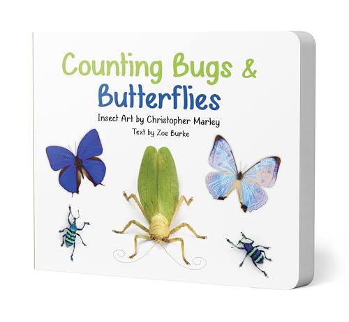 Stock image for Counting Bugs and Butterflies: Insect Art by Christopher Marley for sale by SecondSale