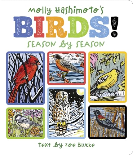 9780764982170: Molly Hashimoto's Birds!: Season by Season