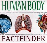 Beispielbild fr Human Body (Factfinder Series) zum Verkauf von Wonder Book