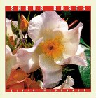 Imagen de archivo de Shrub Roses a la venta por The Yard Sale Store