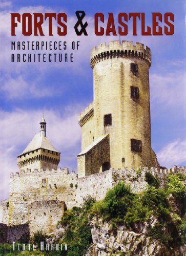Stock image for Forts & Castles: Masterpieces of Architecture for sale by WorldofBooks