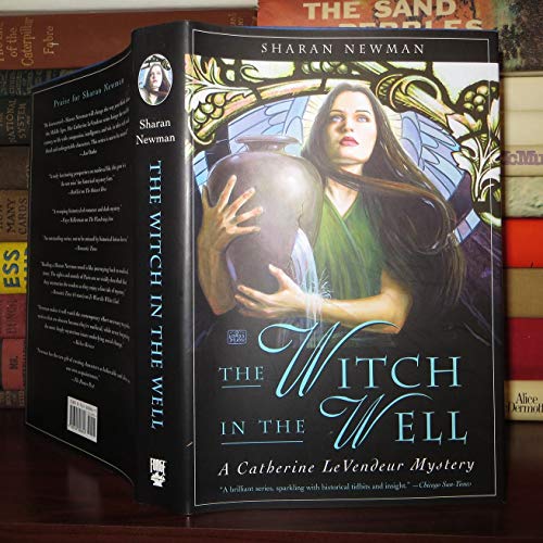 Imagen de archivo de The Witch in the Well: A Catherine LeVendeur Mystery a la venta por Books of the Smoky Mountains