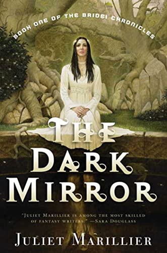 Beispielbild fr The Dark Mirror : Book One of the Bridei Chronicles zum Verkauf von Better World Books