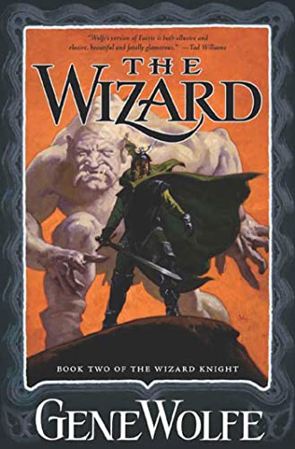 Imagen de archivo de The Wizard: Book Two of The Wizard Knight (The Wizard Knight (2)) a la venta por SecondSale