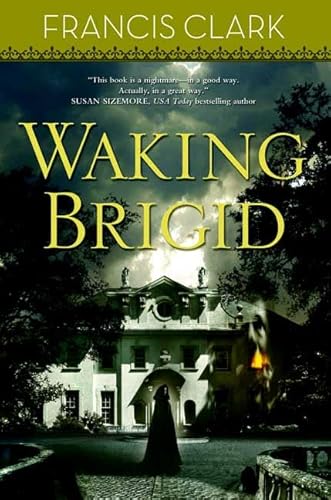 9780765318107: Waking Brigid