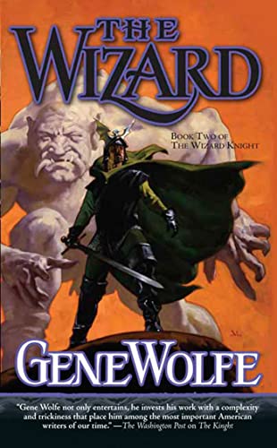 Stock image for The Wizard: Book Two of The Wizard Knight for sale by SecondSale