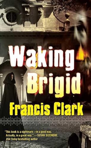 Stock image for Waking Brigid for sale by HPB-Diamond