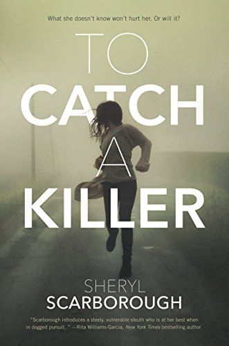 Beispielbild fr To Catch a Killer: A Novel (Erin Blake, 1) zum Verkauf von Wonder Book