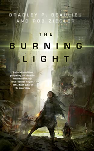 Imagen de archivo de The Burning Light : A Novel a la venta por Better World Books