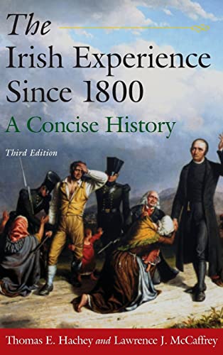 Imagen de archivo de The Irish Experience Since 1800: A Concise History: A Concise History a la venta por PAPER CAVALIER US