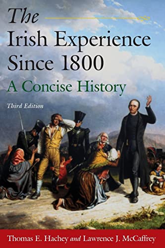 Imagen de archivo de The Irish Experience Since 1800: A Concise History: A Concise History a la venta por ThriftBooks-Reno