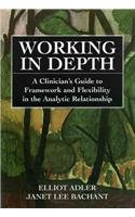 Stock image for Working in Depth: A Clinician's Guide to Framework and Flexibility in the Analytic Relationship for sale by SecondSale