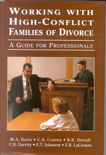 9780765702920: Working with High-Conflict Families of Divorce: A Guide for Professionals