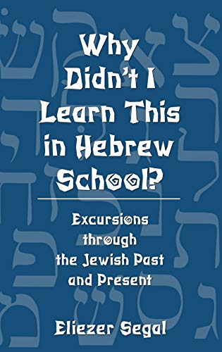 Beispielbild fr Why Didn't I Learn This in Hebrew School?: Excursions Through the Jewish Past and Present zum Verkauf von St Vincent de Paul of Lane County